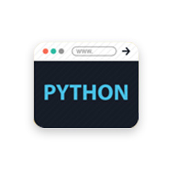 python web development service